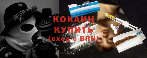 шишки Кинешма