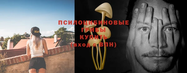 трава Киренск