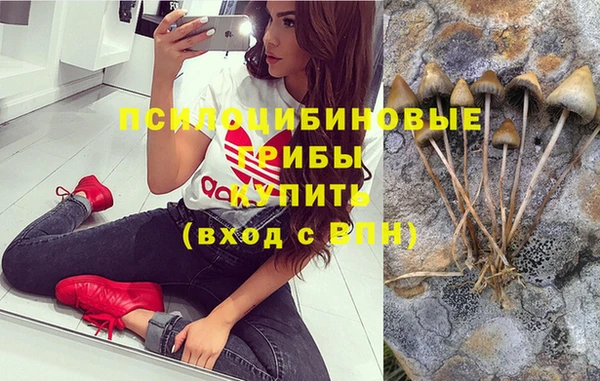 спиды Киреевск