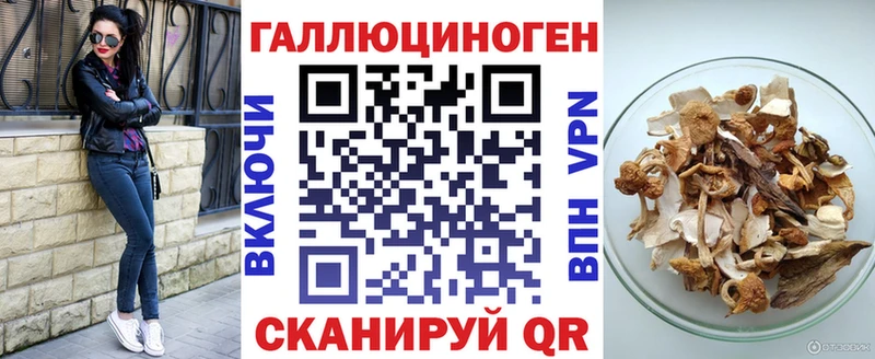 Купить где  Верея  Псилоцибиновые грибы ЛСД 